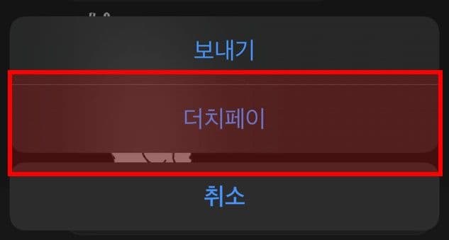 kakaotalk_hoenytips_06
